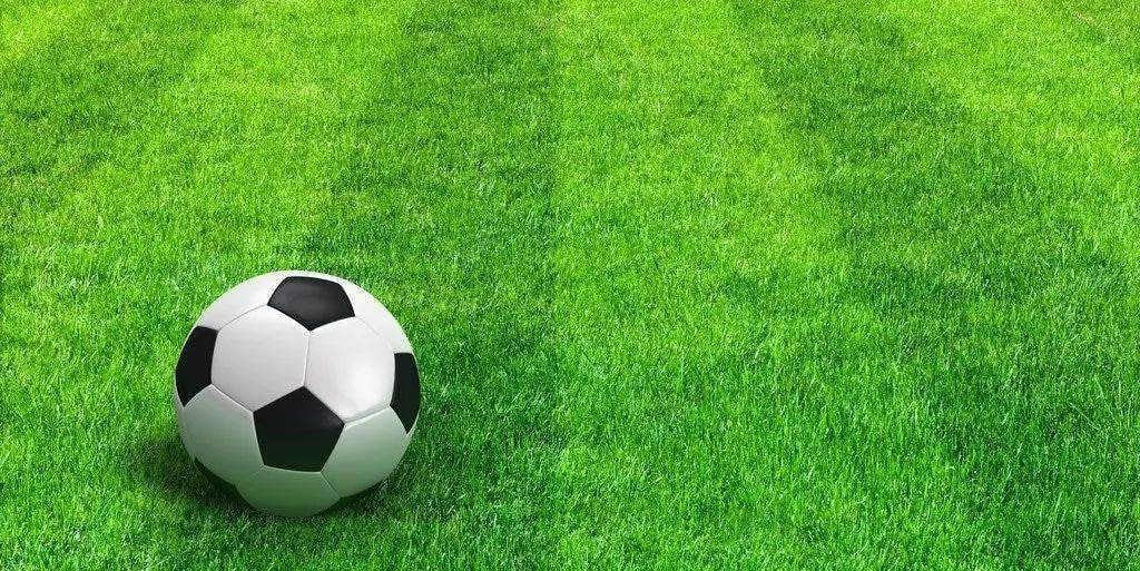 数据分析功能展示图表